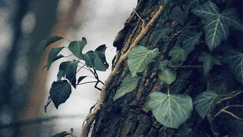 Image posted by the member