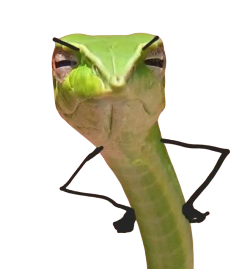 Image posted by the member