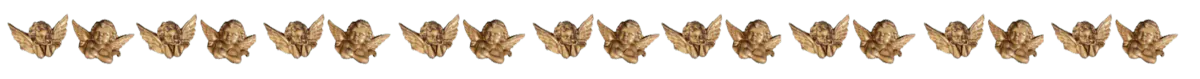 Image posted by the member