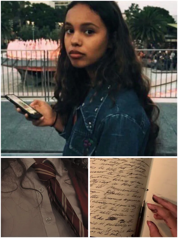 Picture of my faceclaim along with Gryffindor aesthetic