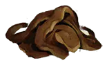 Image posted by the member