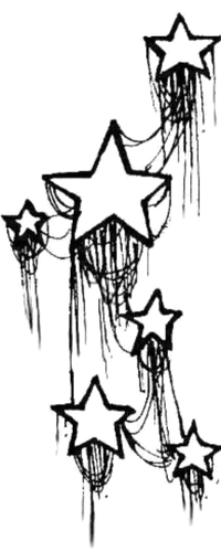 Image posted by the member