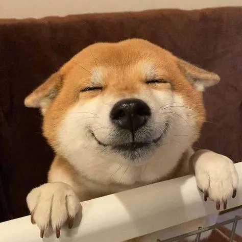 Image posted by the member