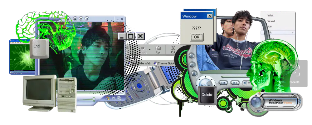 Image posted by the member