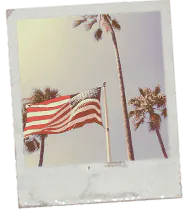 Image posted by the member