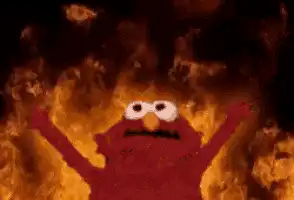 Image posted by the member