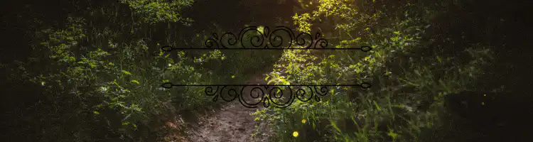 Image posted by the member