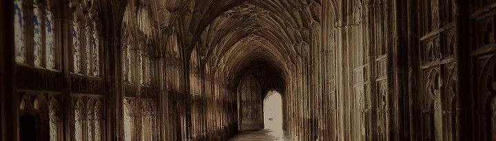 Image posted by the member