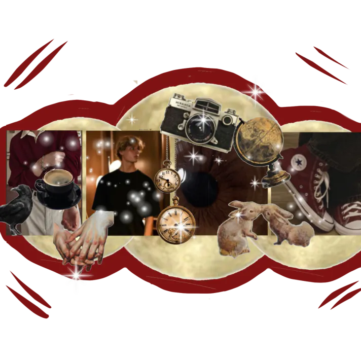 Image posted by the member