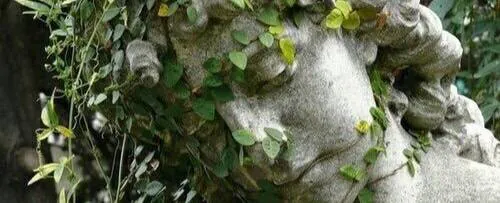 Image posted by the member