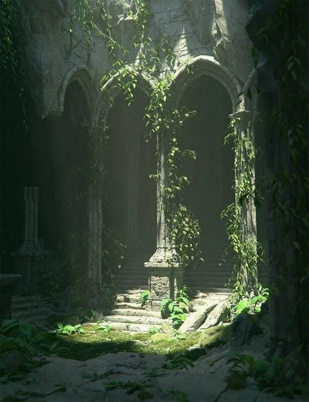 Image posted by the member
