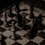 Image posted by the member