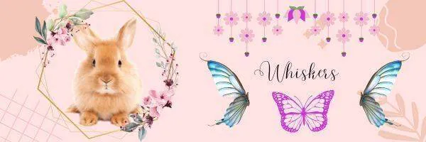 Image posted by the member