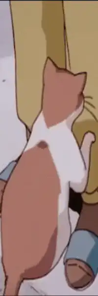Image posted by the member