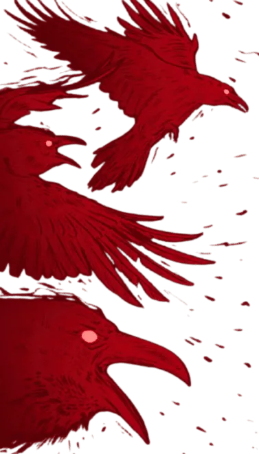 Image posted by the member