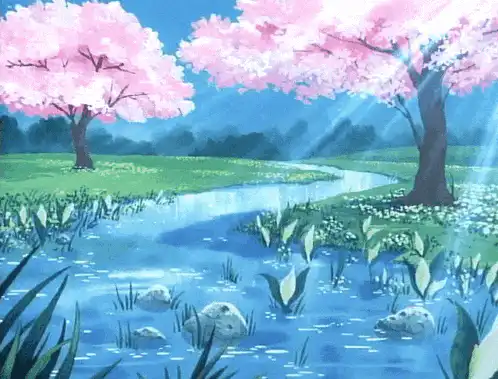 Image posted by the member