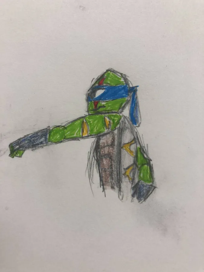 Image posted by the member
