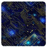 Image posted by the member