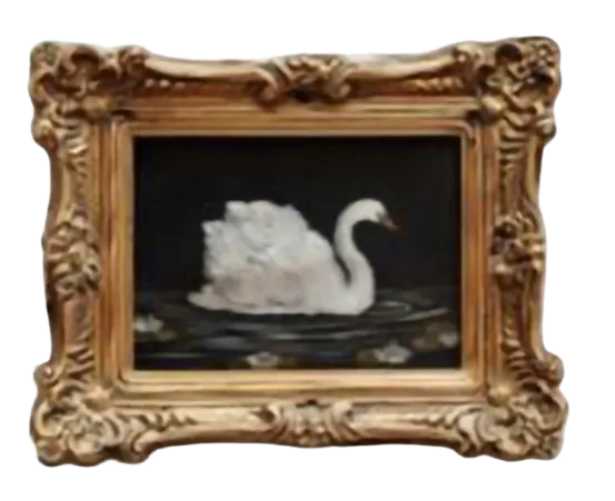 Image posted by the member