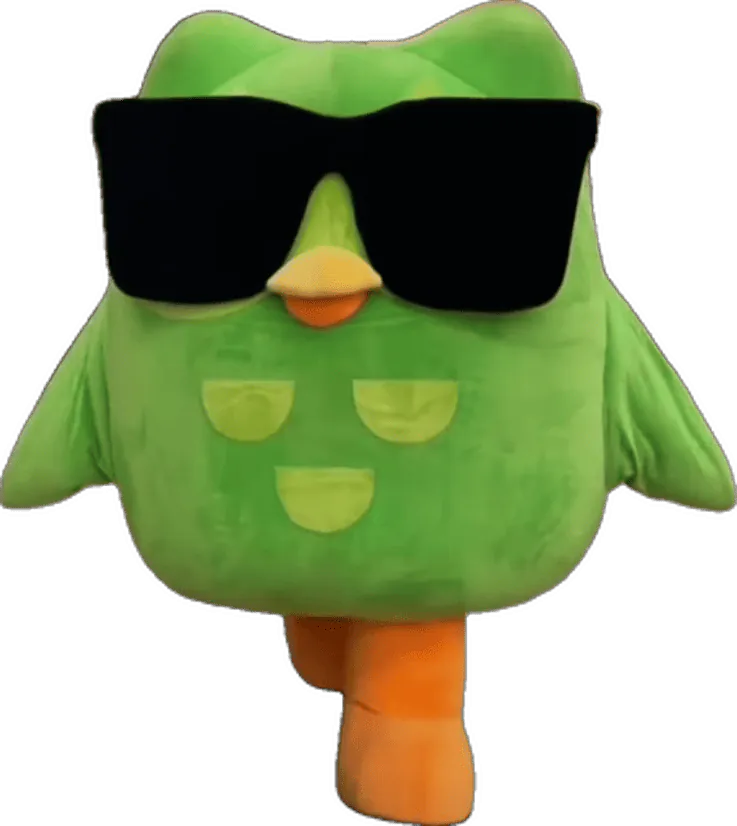 Image posted by the member