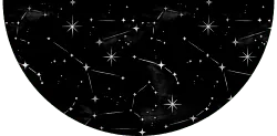 Image posted by the member