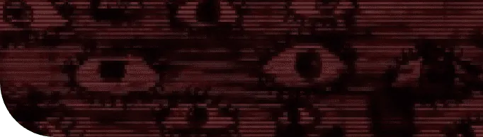 Image posted by the member