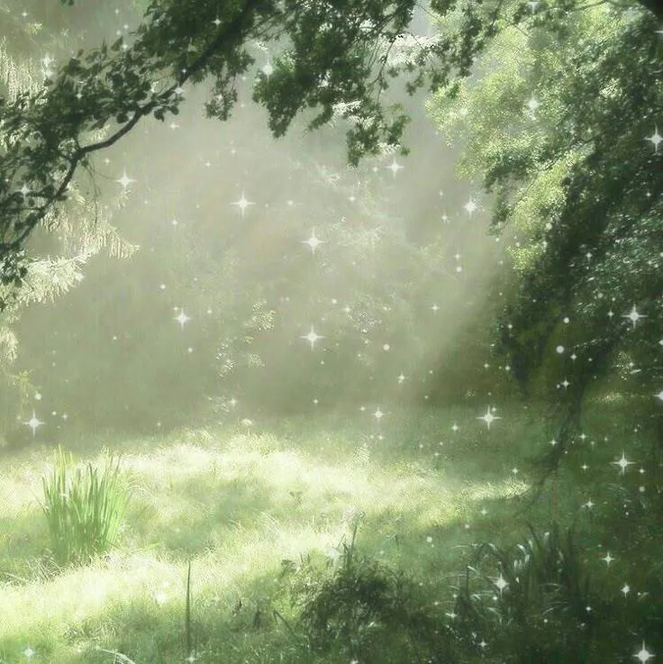 Image posted by the member