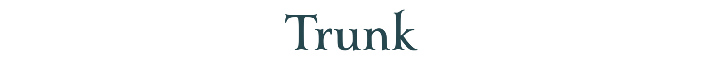 Trunk