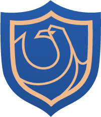 Image posted by the member