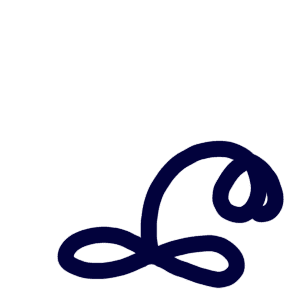 Image posted by the member