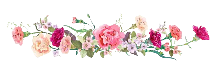 Image posted by the member