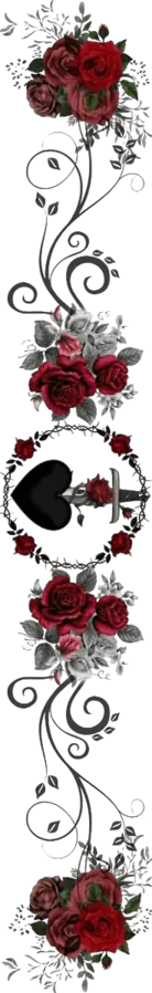 Image posted by the member