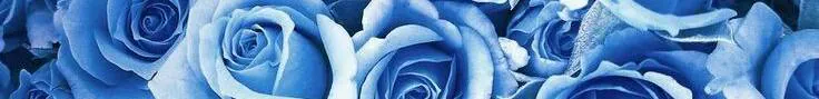 Image posted by the member