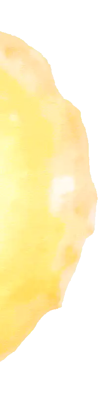 Image posted by the member