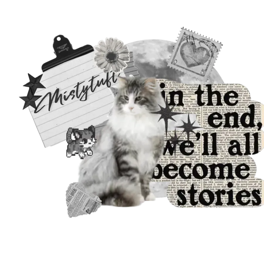 Image posted by the member