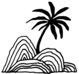 Image posted by the member