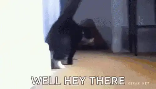 Image posted by the member