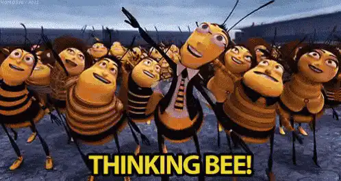 Image posted by the member
