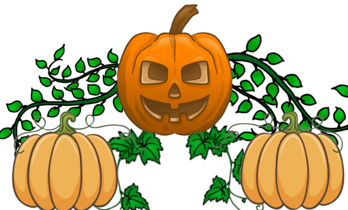 Image posted by the member