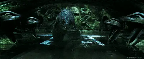 Image posted by the member