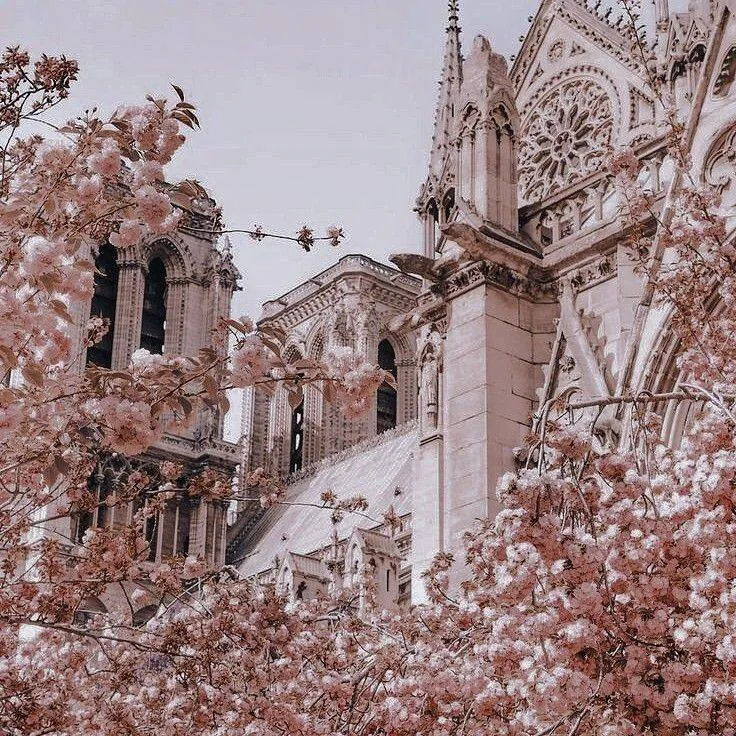 Image posted by the member