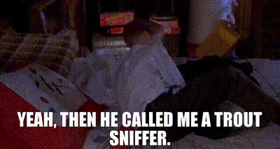 Image posted by the member