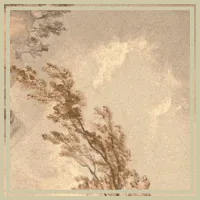 Image posted by the member