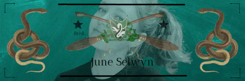 Image posted by the member