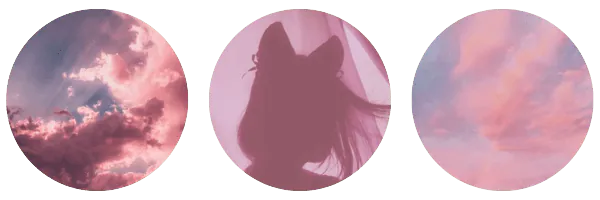 Image posted by the member