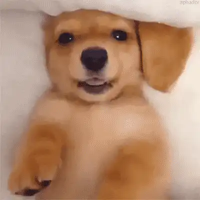 Image posted by the member