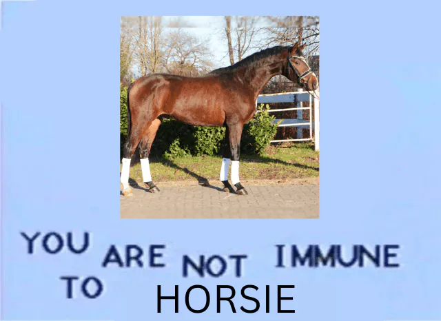 Image posted by the member