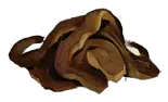 Image posted by the member