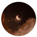 Image posted by the member