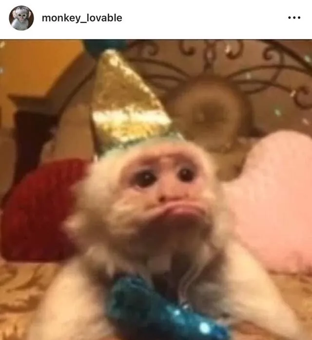 Image posted by the member